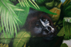 Fassade Wandbemalung-graffiti-gorilla