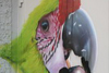 airbrush Fassade Wandbild Graffitis bild graffiti papagei