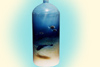 airbrush--taucher-flasche-ozean