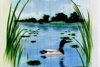 Airbrush-Design-heizkoerper-heizung-ente-teich_