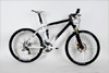 Airbrush-Design-mountain-bike-weisse-flamme